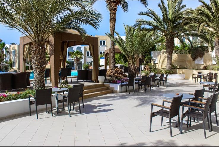 Terrasse ensoleillée sous les palmiers